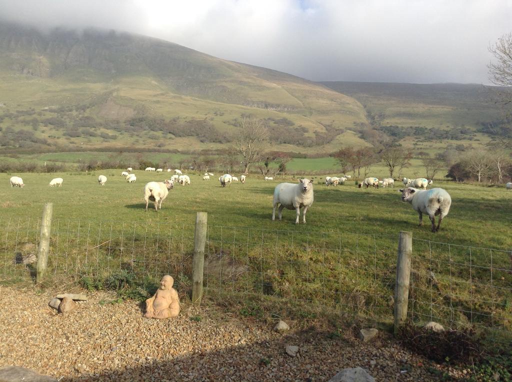 Benbulben Farmhouse B&B Drumcliff Bagian luar foto